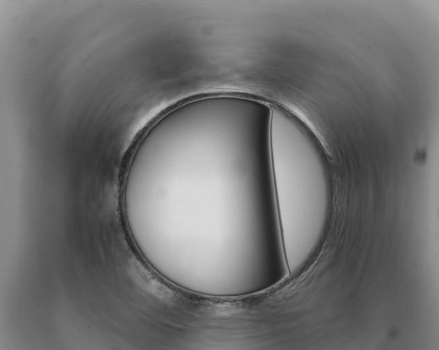 X0000091081460200708061035