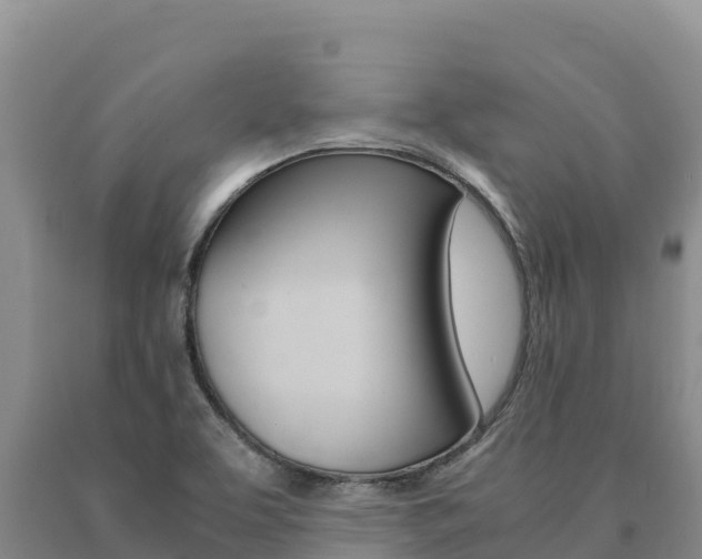 X0000091081463200708061034