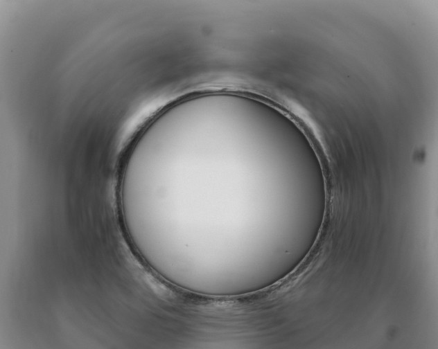 X0000091081464200708061034