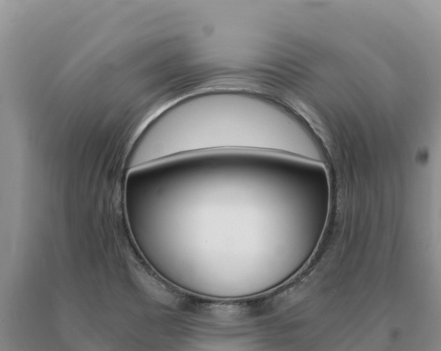 X0000091081465200708061034