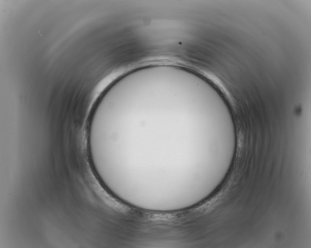 X0000091081466200708061034