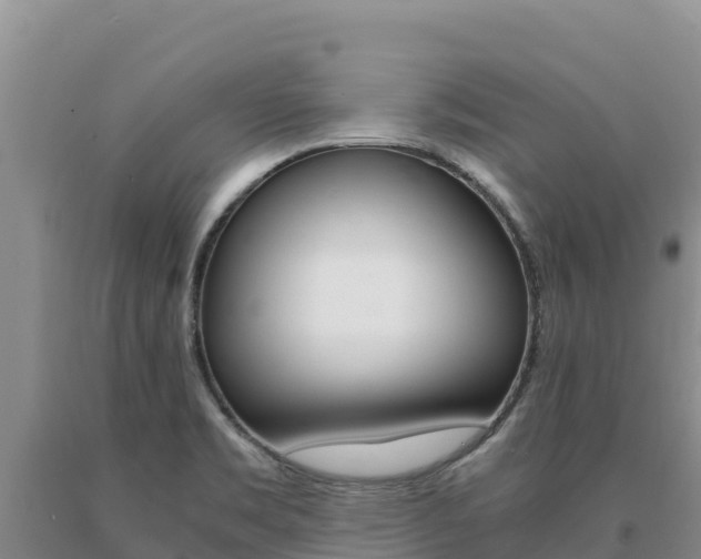 X0000091081469200708061034
