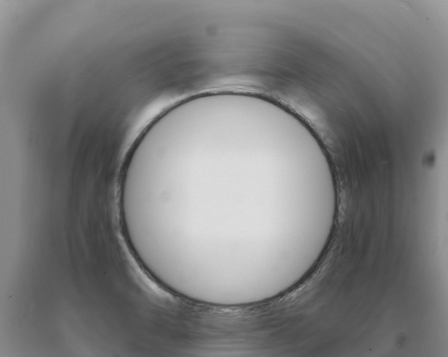 X0000091081470200708061034