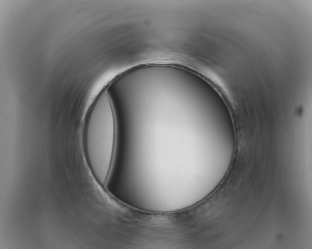 X0000091081472200708061034