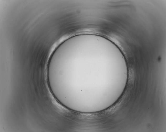 X0000091081474200708061034