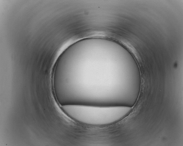 X0000091081475200708061034