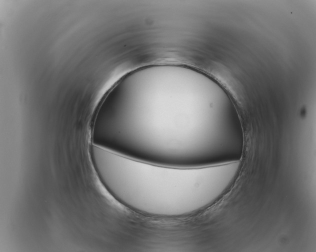 X0000091081476200708061034