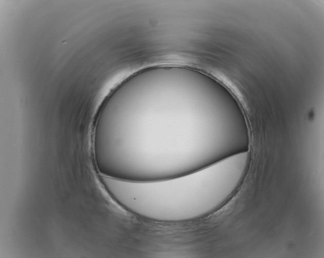 X0000091081477200708061034