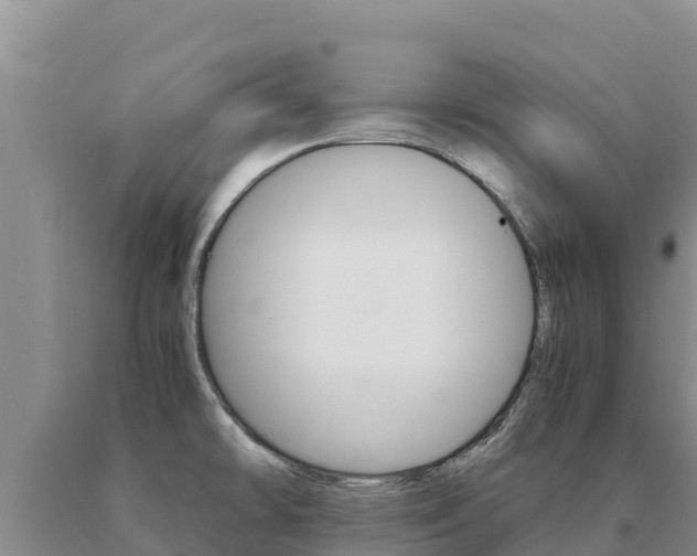 X0000091081478200708061034