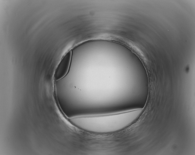 X0000091081479200708061034