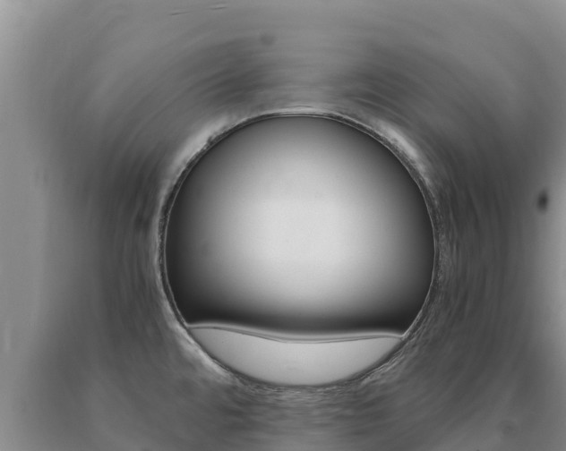 X0000091081480200708061034