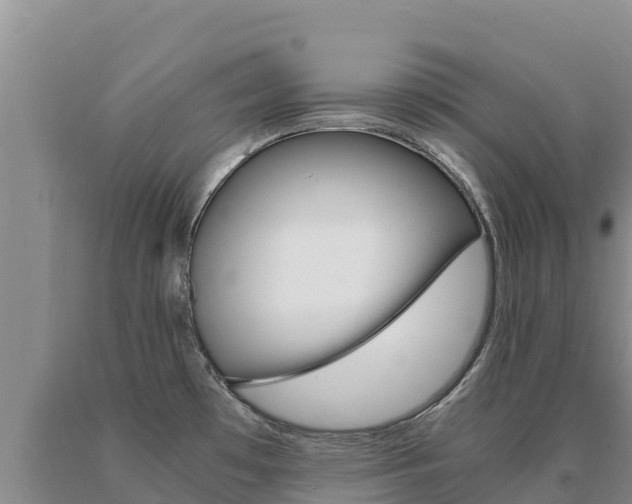 X0000091081481200708061034