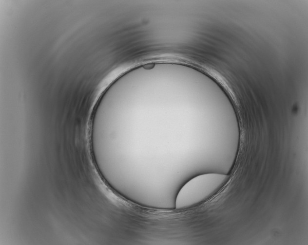 X0000091081482200708061034