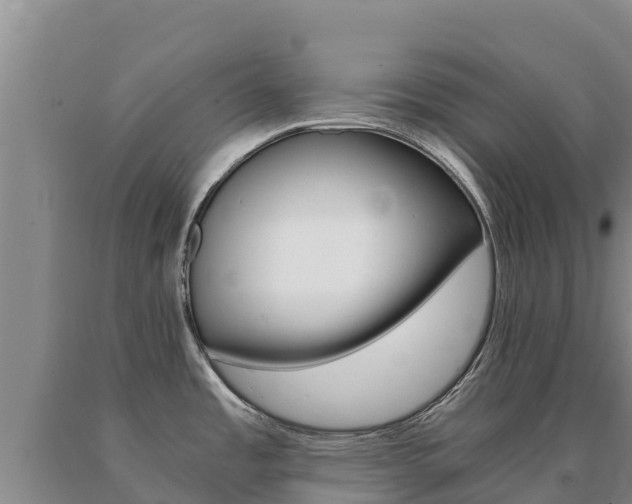 X0000091081485200708061034