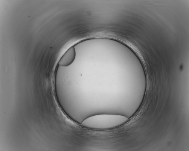 X0000091081486200708061034