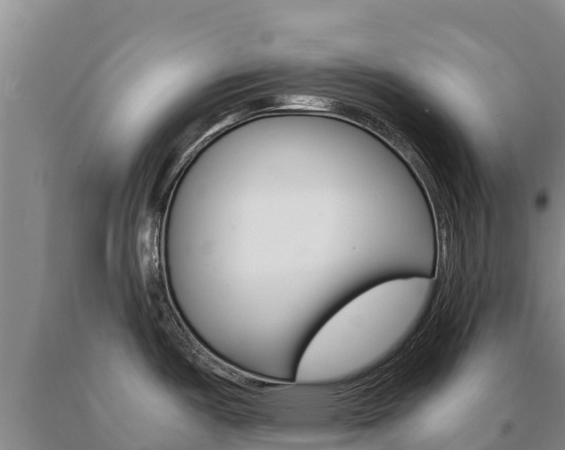 X0000091081487200708061034