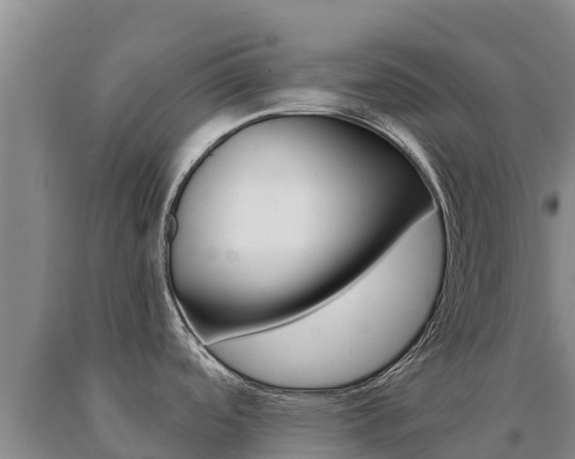 X0000091081488200708061034
