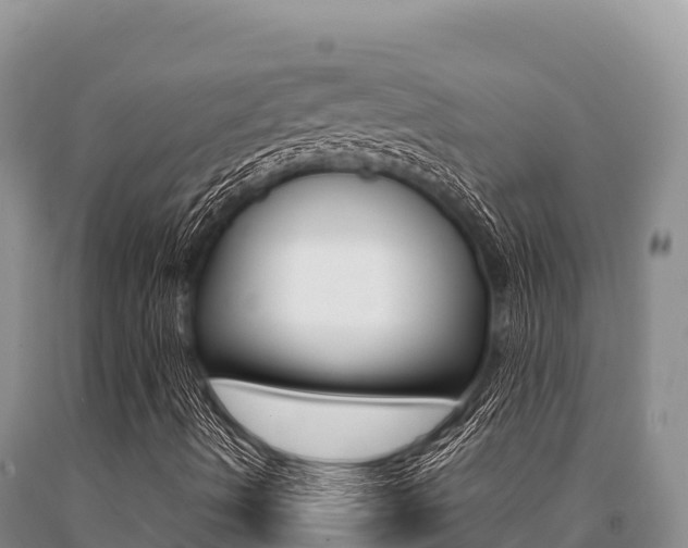 X0000091081490200708061033