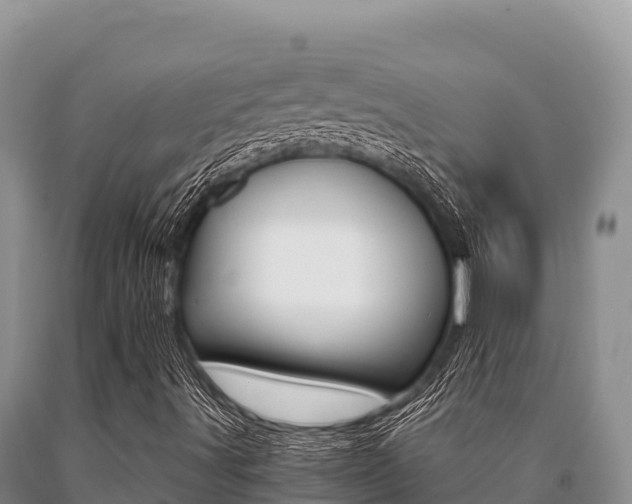 X0000091081491200708061033