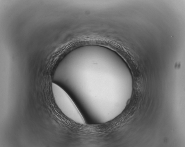 X0000091081493200708061033
