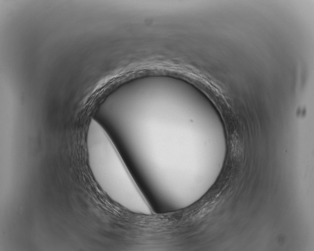 X0000091081494200708061033