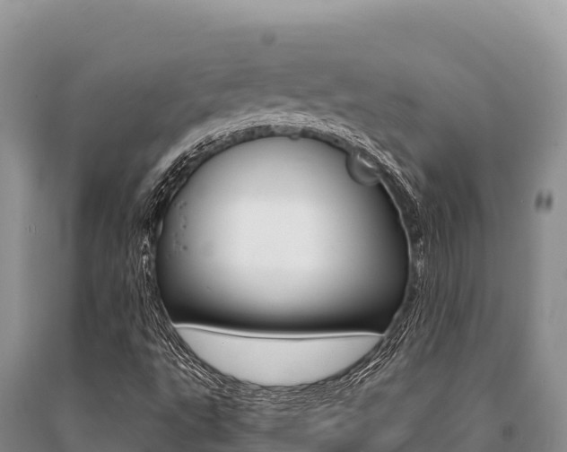 X0000091081495200708061033