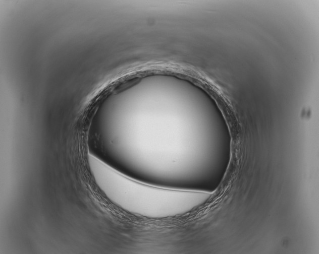 X0000091081496200708061033