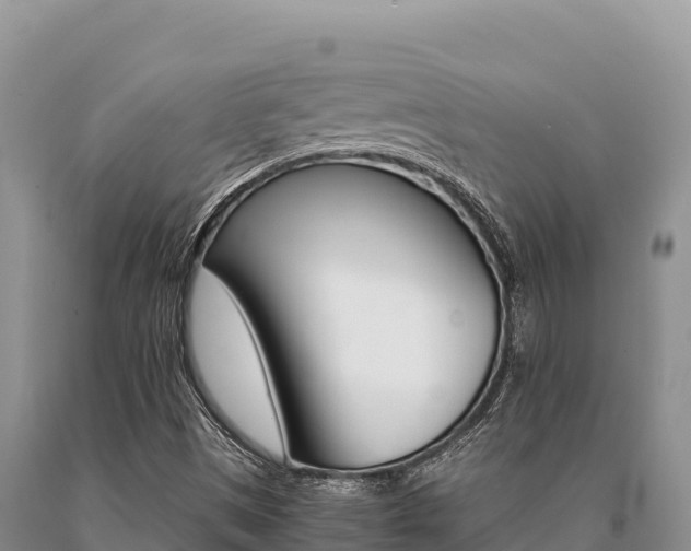 X0000091081497200708061033