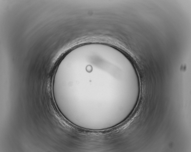 X0000091081498200708061033
