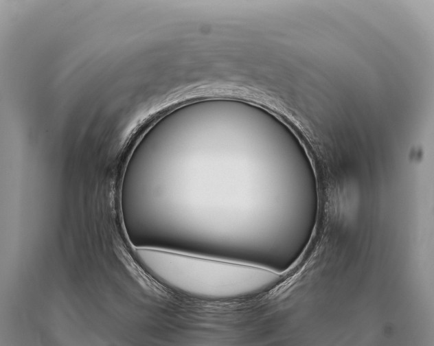 X0000091081499200708061033