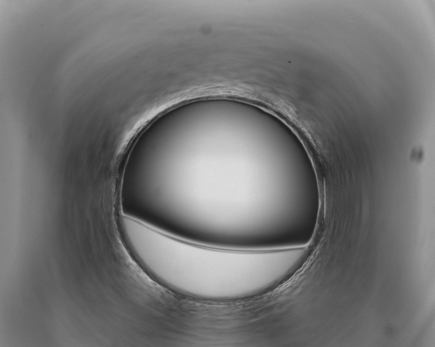 X0000091081500200708061033