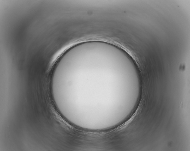 X0000091081502200708061033