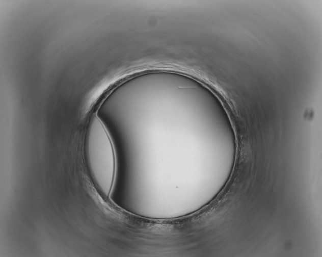 X0000091081503200708061033