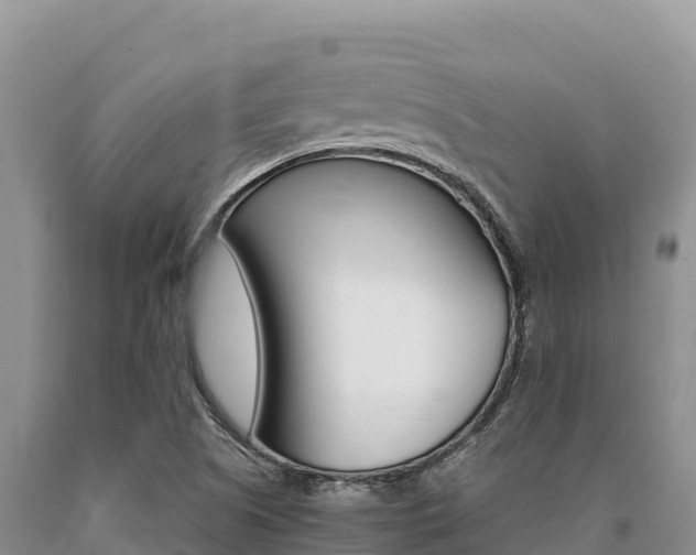 X0000091081505200708061033