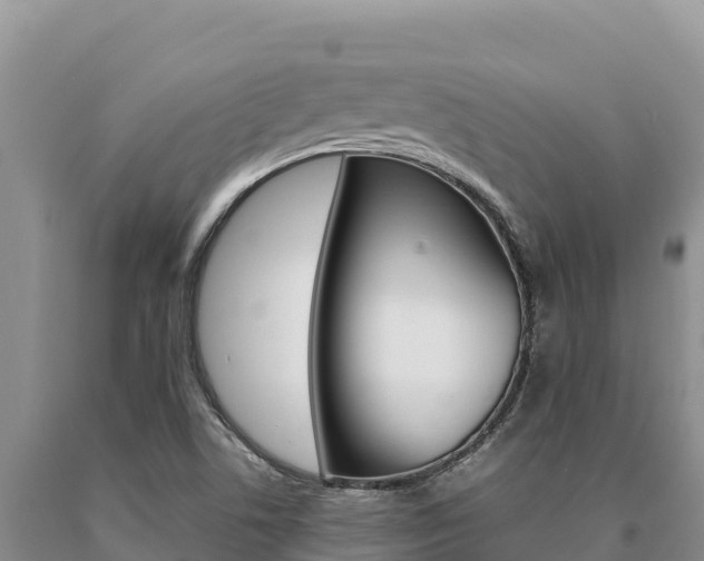 X0000091081506200708061033