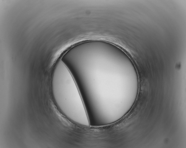 X0000091081507200708061033