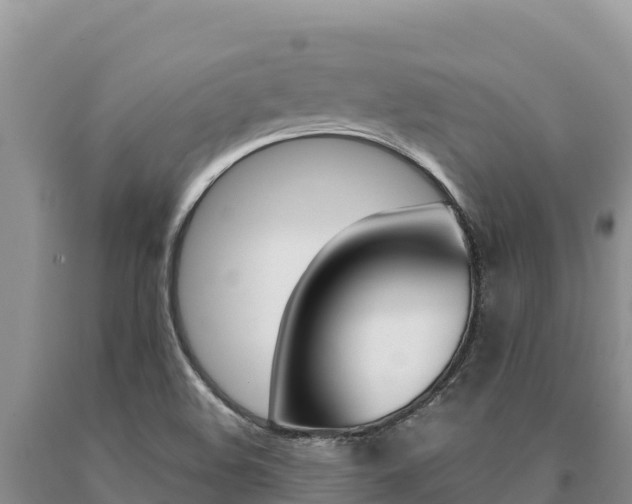 X0000091081508200708061033