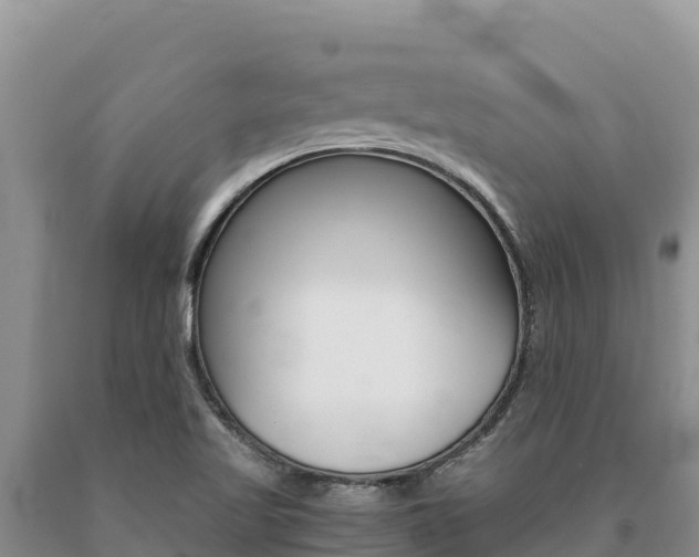 X0000091081509200708061033