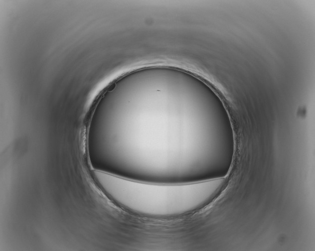 X0000091081510200708061033