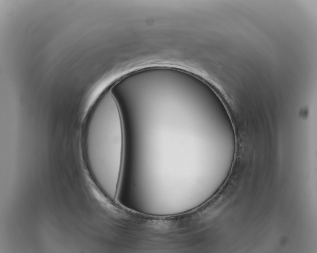 X0000091081511200708061033