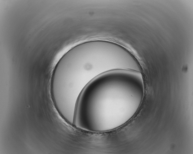 X0000091081512200708061033