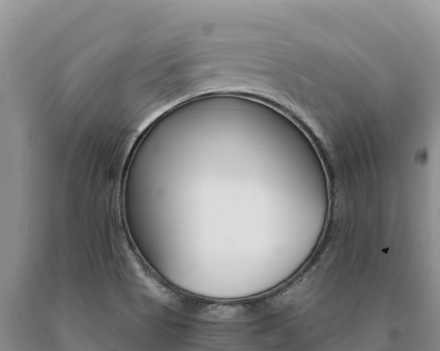 X0000091081513200708061033