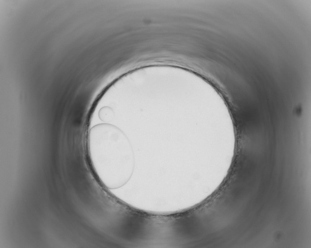 X0000091081514200708061034