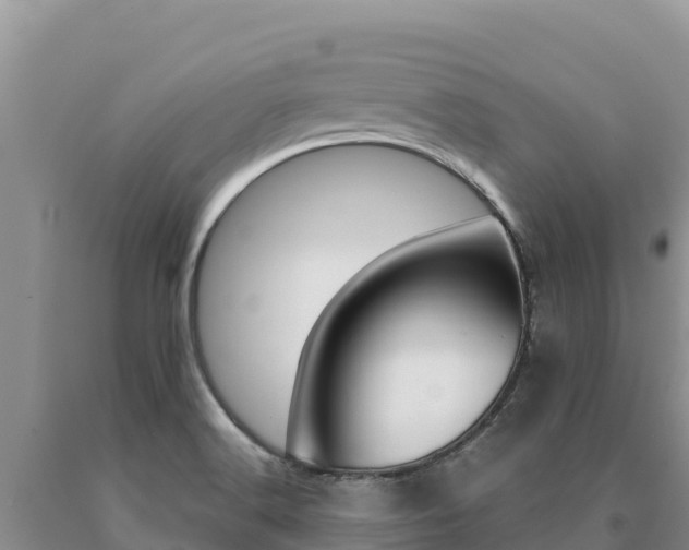 X0000091081516200708061034