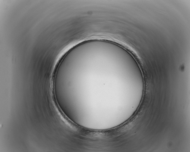 X0000091081517200708061034