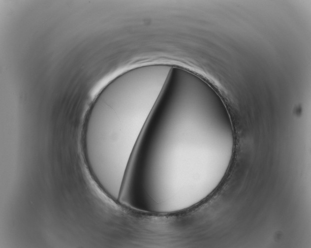 X0000091081518200708061034