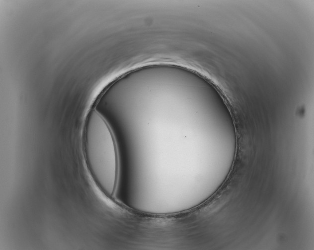 X0000091081519200708061034