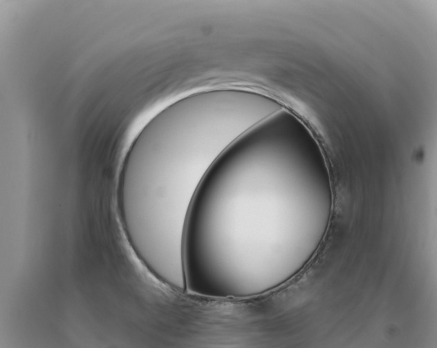 X0000091081520200708061034