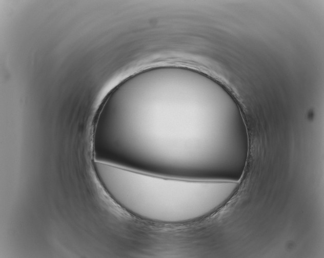 X0000091081522200708061034