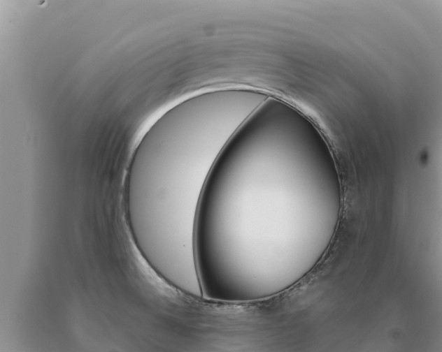 X0000091081524200708061034